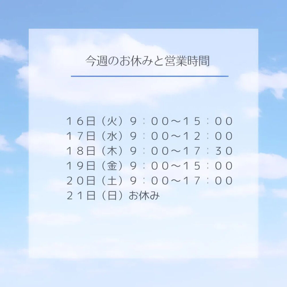 ブログ
